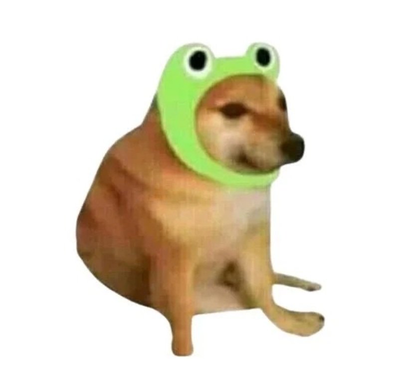khoảnh khắc bá đạo cùng doge meme nổi tiếng