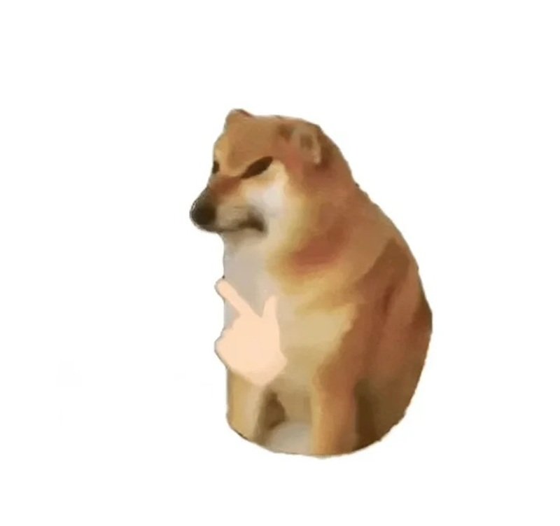 doge meme 42