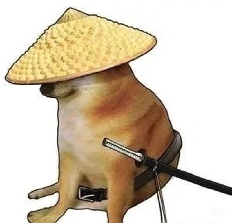doge meme mang lại tiếng cười sảng khoái