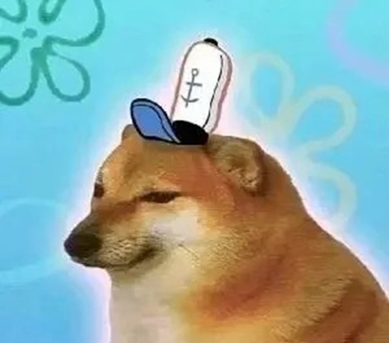doge meme nổi tiếng với biểu cảm ngộ nghĩnh