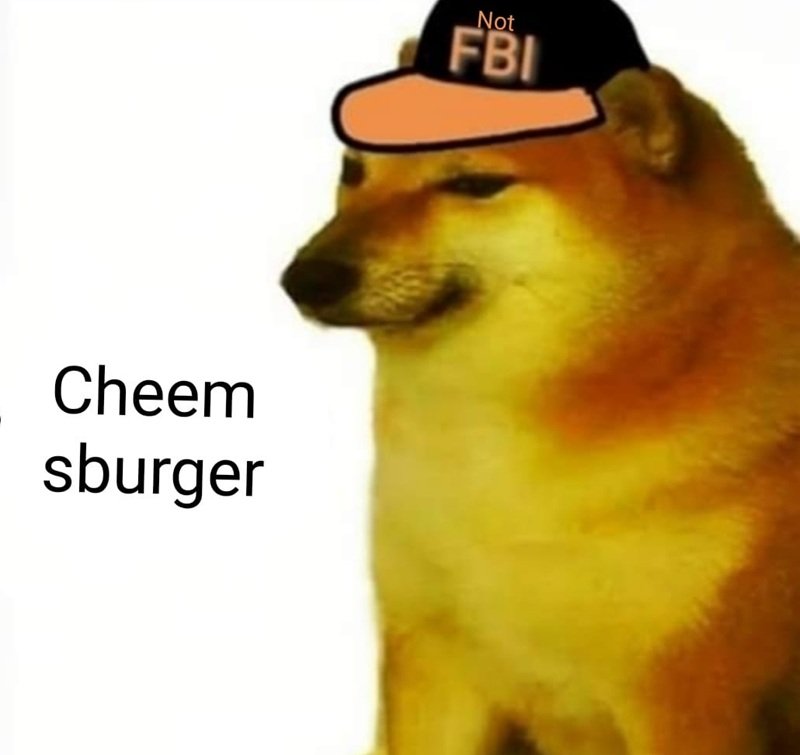 biểu cảm truy đuổi fbi meme