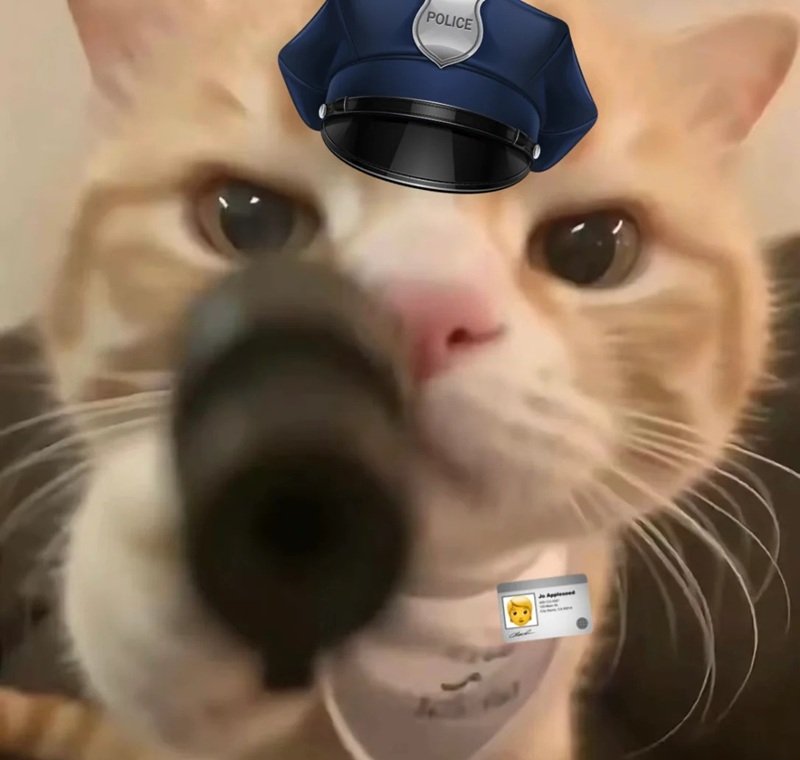 ảnh meme cảnh báo vui