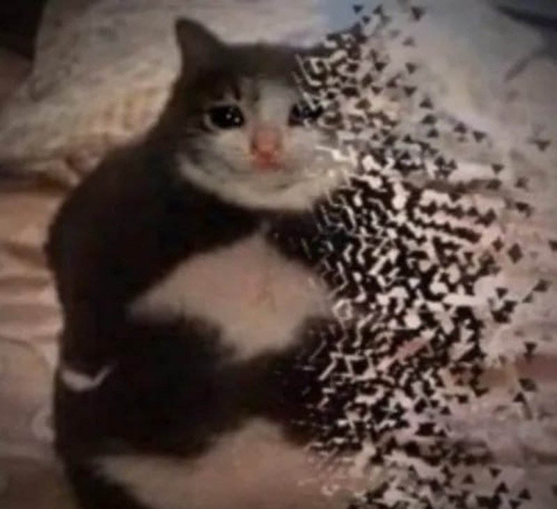Meme biến mất tạo cảm giác cạn lời đầy hài hước