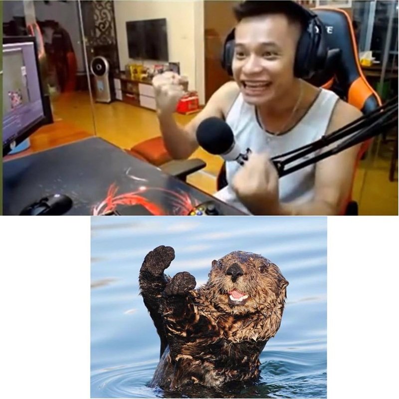 nội dung sáng tạo meme độ mixi