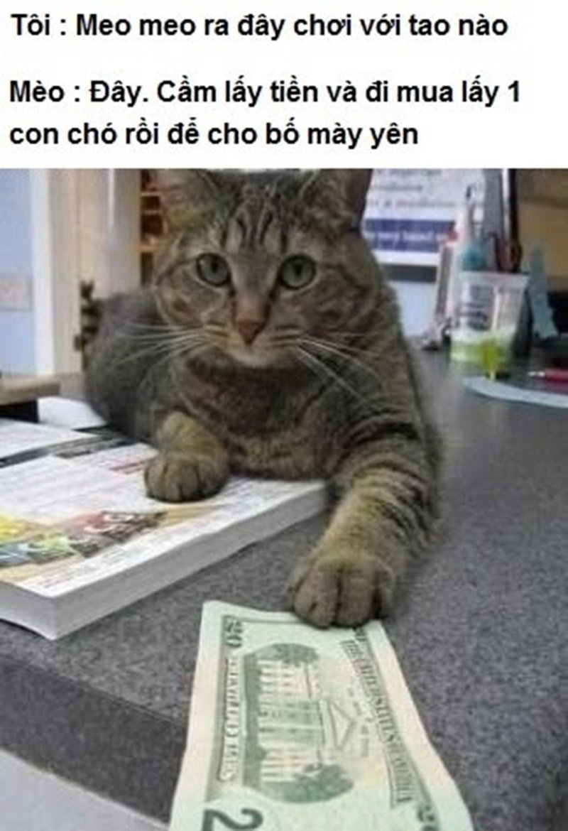 biểu cảm hài hước meme đưa tiền