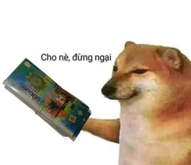 biểu cảm xin tiền meme đưa tiền