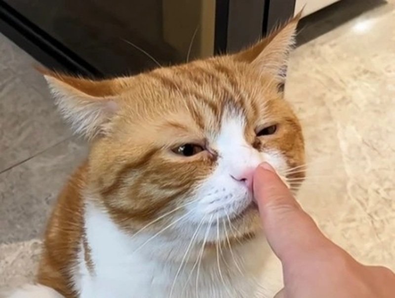 biểu cảm cực gắt meme im lặng