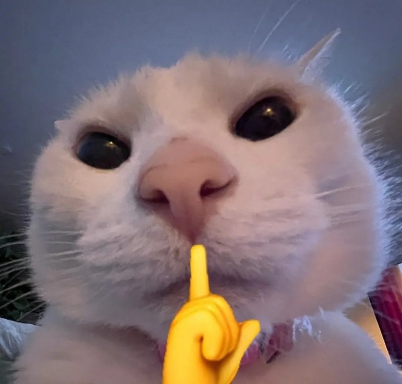 hình ảnh phản ứng meme im lặng