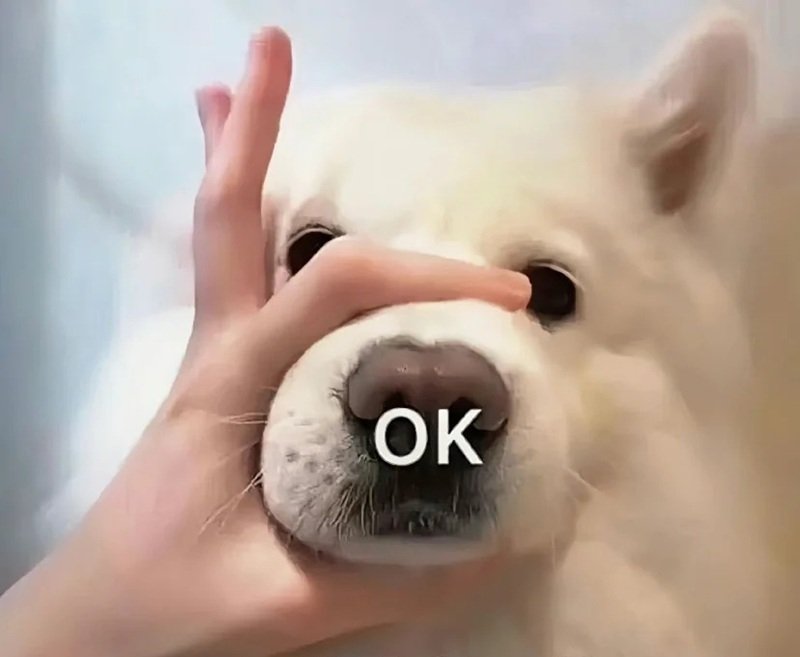 ảnh meme cạn lời