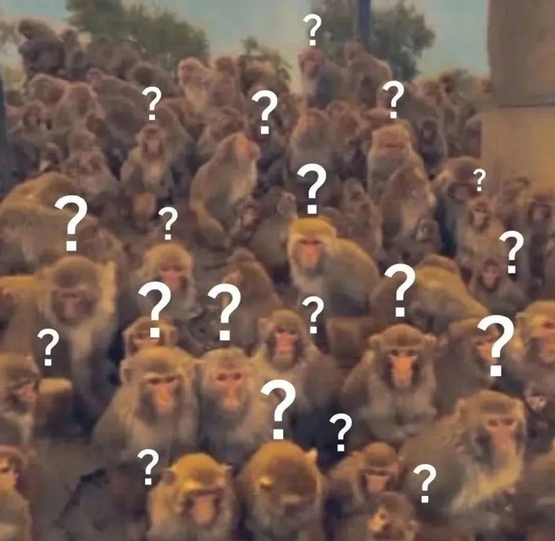 hình ảnh lạ lùng với meme khó hiểu độc đáo