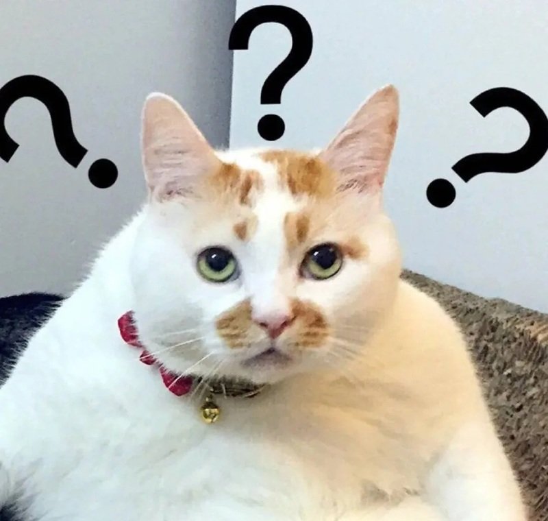 hình ảnh bí ẩn trong meme khó hiểu gây tò mò