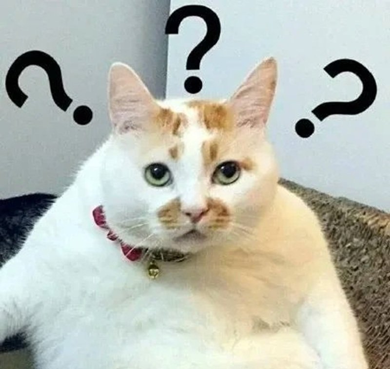meme khó hiểu mang lại trải nghiệm giải trí lạ
