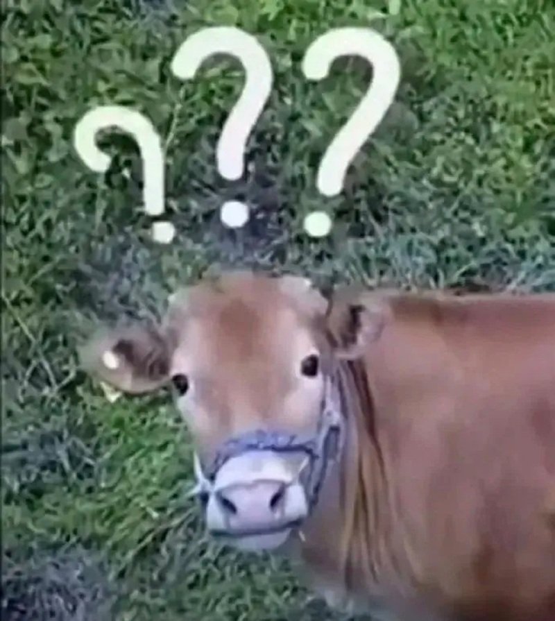 meme khó hiểu 34