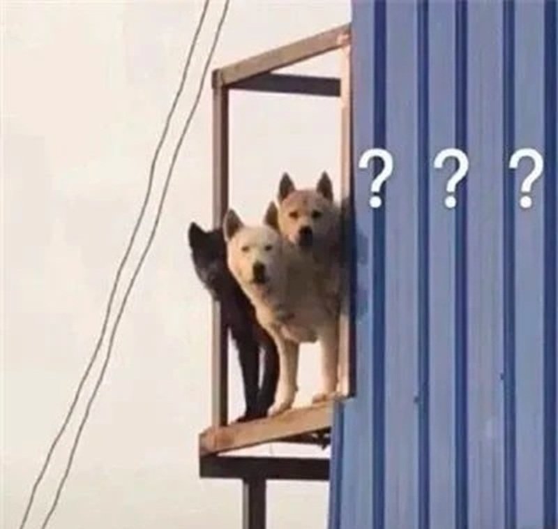 meme khó hiểu 39
