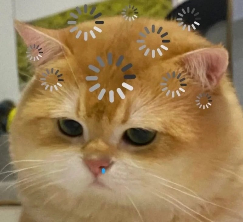 Khoảnh khắc lầy lội trong meme vui nhộn
