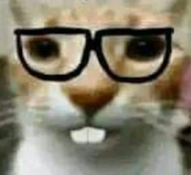 Hình ảnh hài hước trong meme cạn lời mạng xã hội