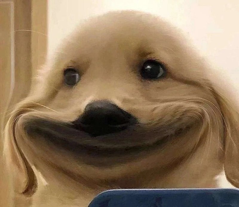 Meme cạn lời cực hot trên TikTok
