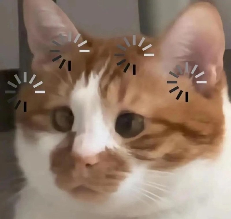 Meme hài vui nhộn phản ứng cực lầy