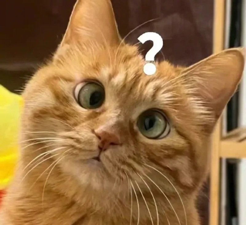 Meme lầy lội mang tính giải trí cao