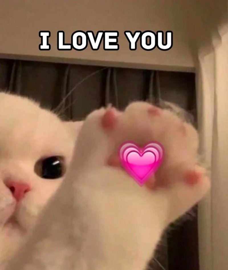 ảnh meme yêu cute dễ thương