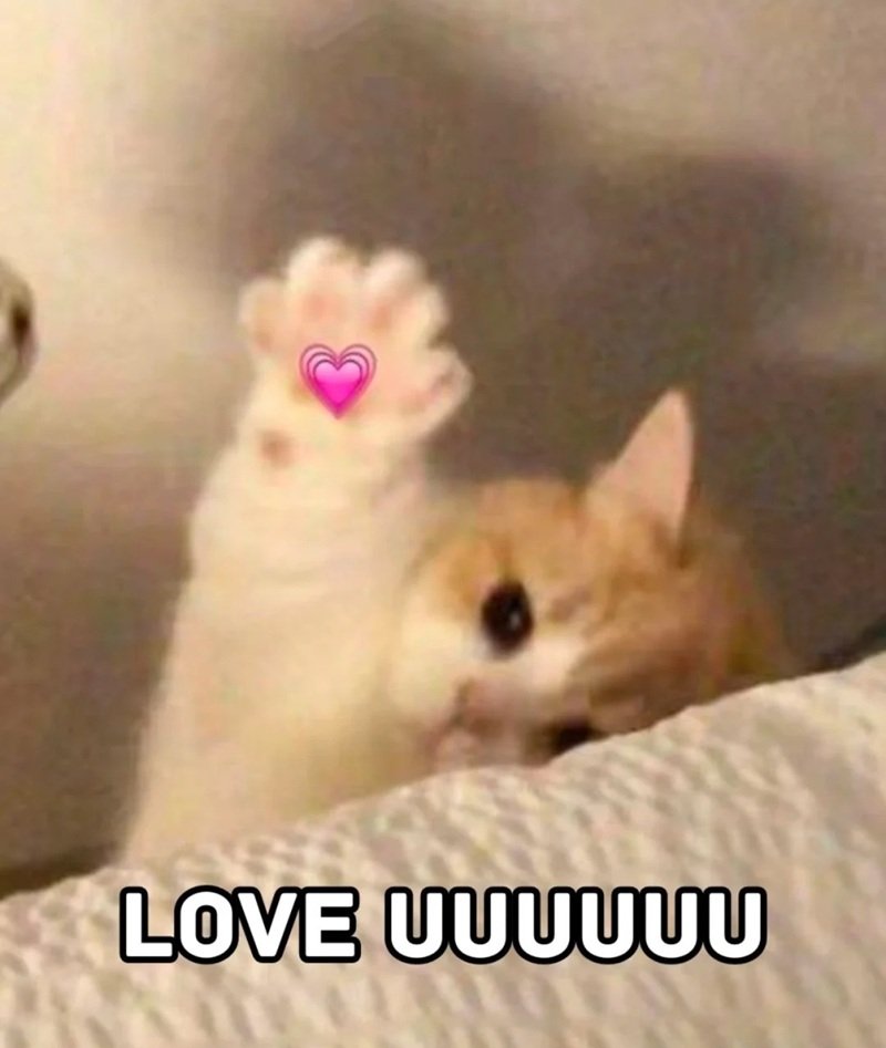 meme yêu khiến lòng ấm áp