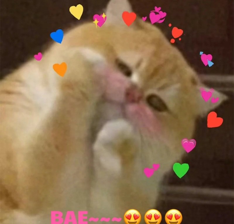 cảm xúc ngọt ngào meme yêu cute
