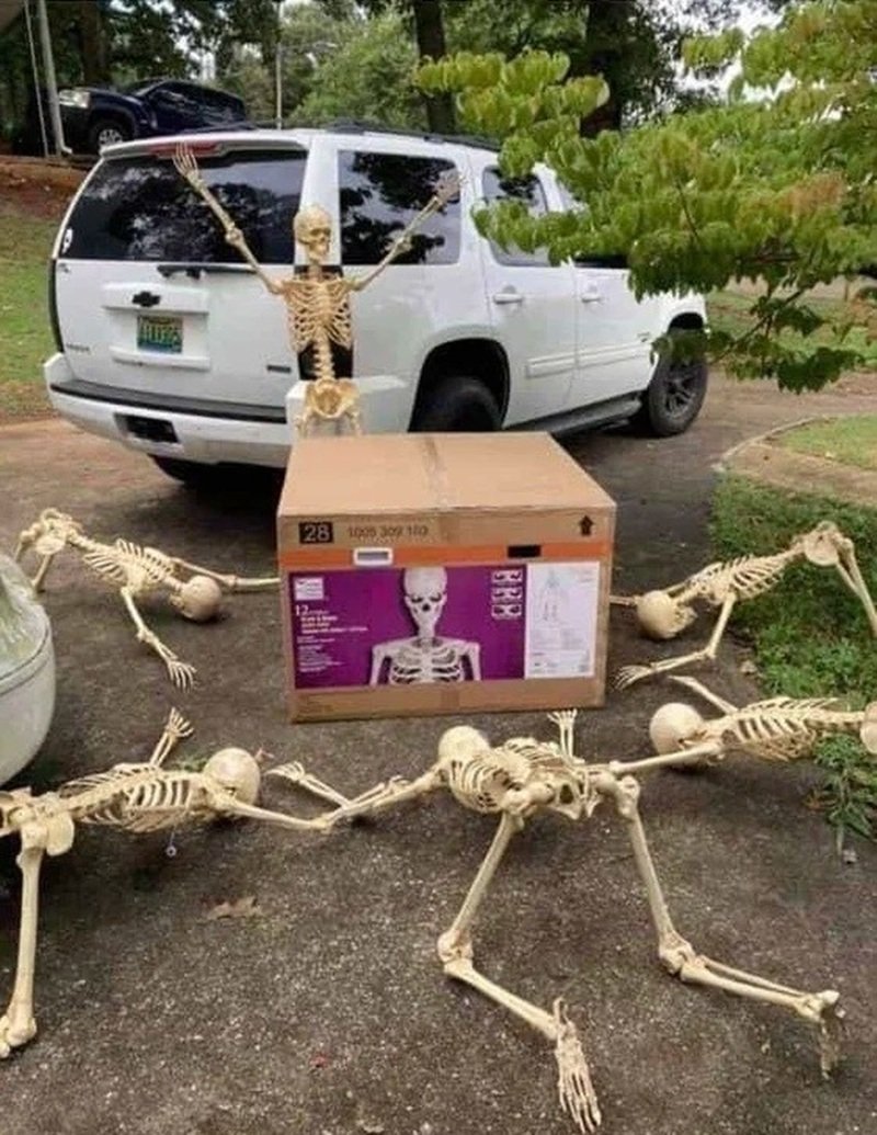 skeleton meme mang phong cách hài dị thú vị