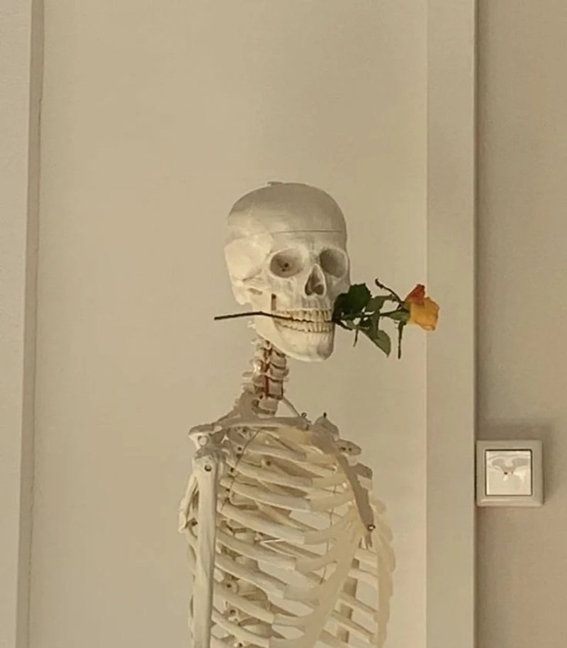 hình ảnh xương vui nhộn trong skeleton meme độc đáo