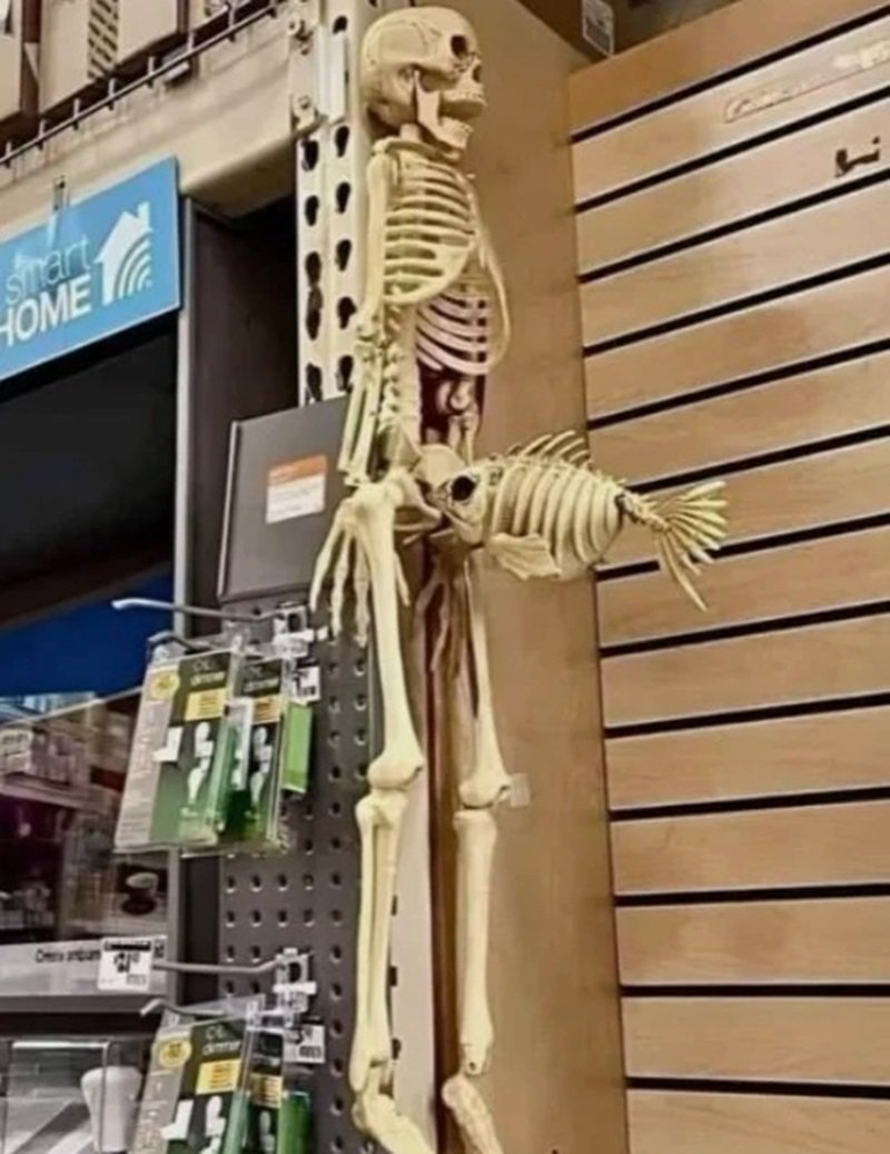 skeleton meme khiến người xem cười không ngớt