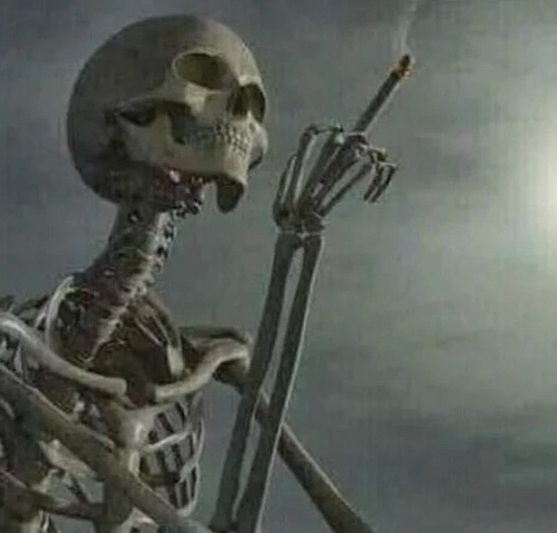 khoảnh khắc lầy lội với skeleton meme thú vị