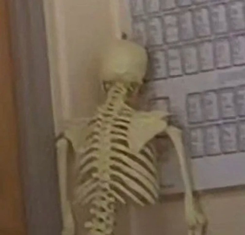 skeleton meme mang phong cách hài hước kỳ dị