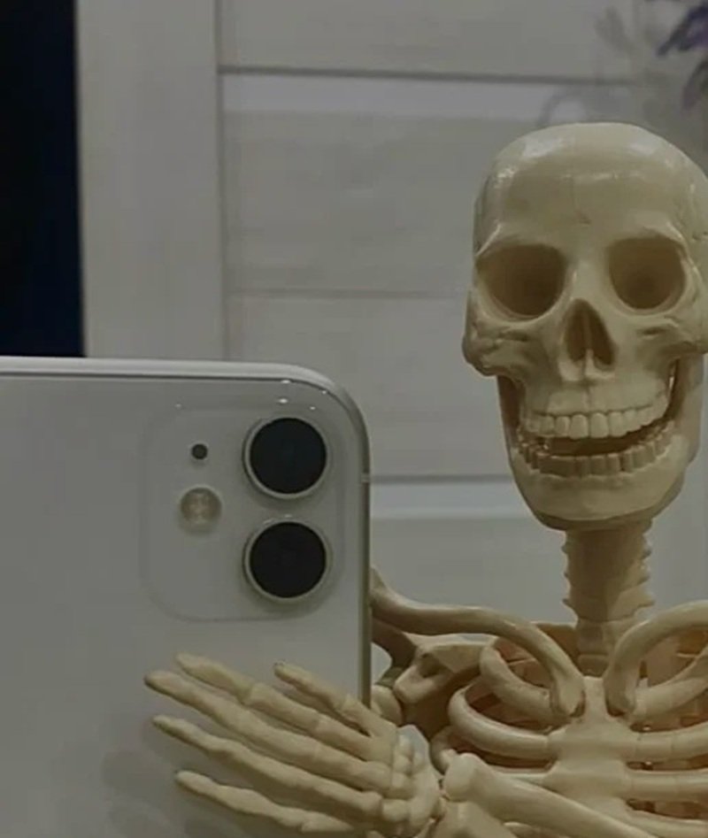 hình ảnh hài hước với skeleton meme cực chất