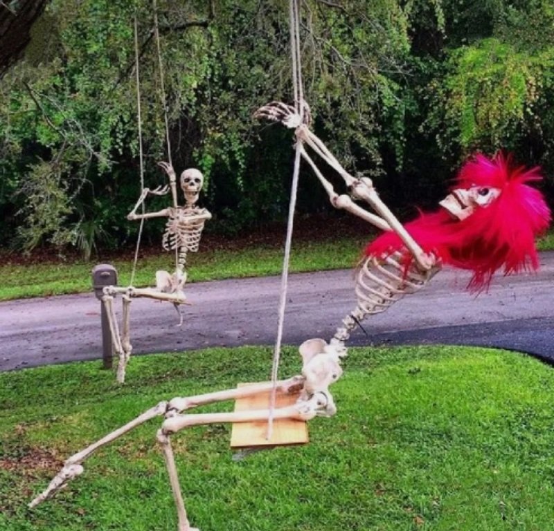 nội dung kỳ quặc từ skeleton meme cực vui