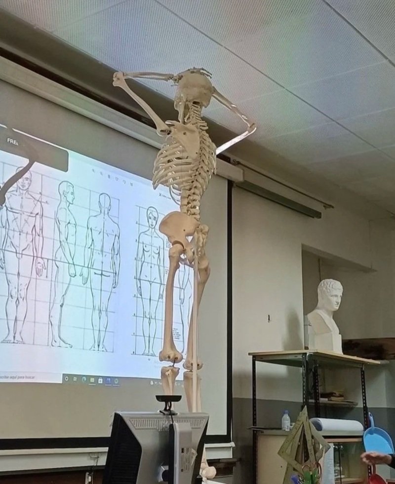 hình ảnh sáng tạo cùng skeleton meme gây ấn tượng