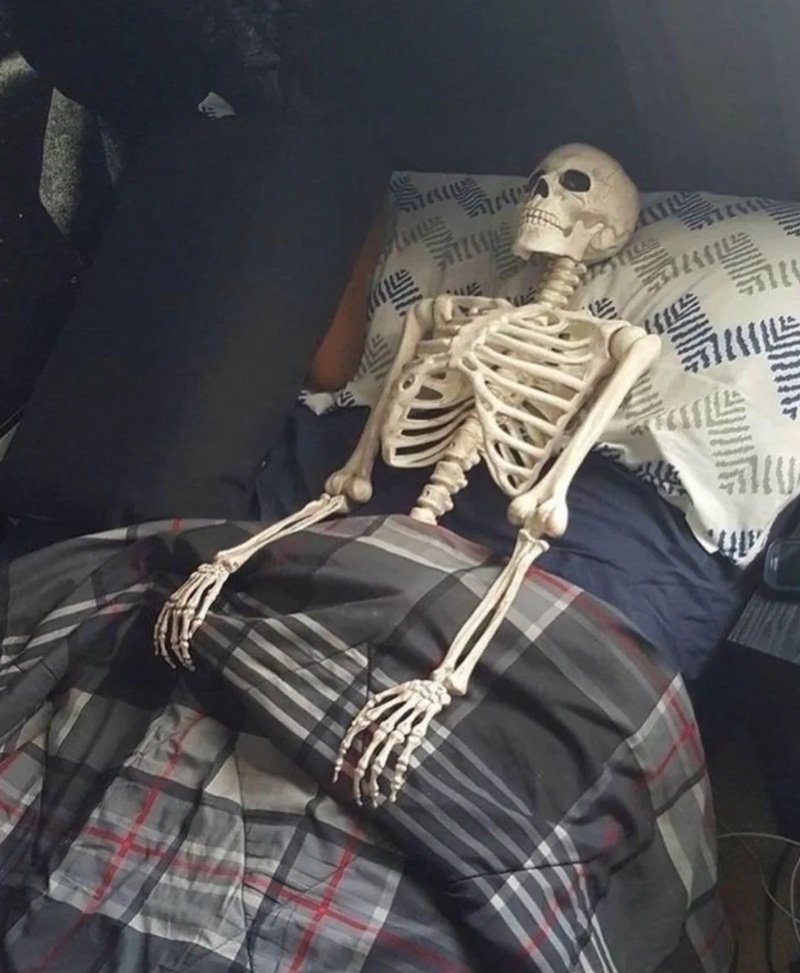 skeleton meme mang lại trải nghiệm giải trí thú vị
