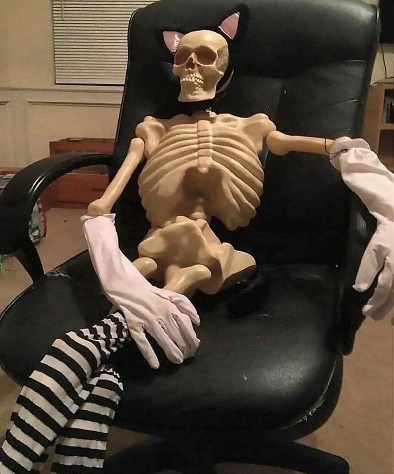 hình ảnh kỳ quặc với skeleton meme gây cười