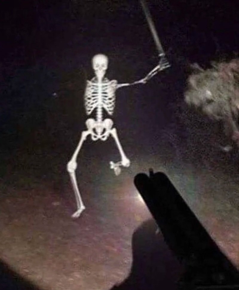meme halloween xương độc lạ thú vị