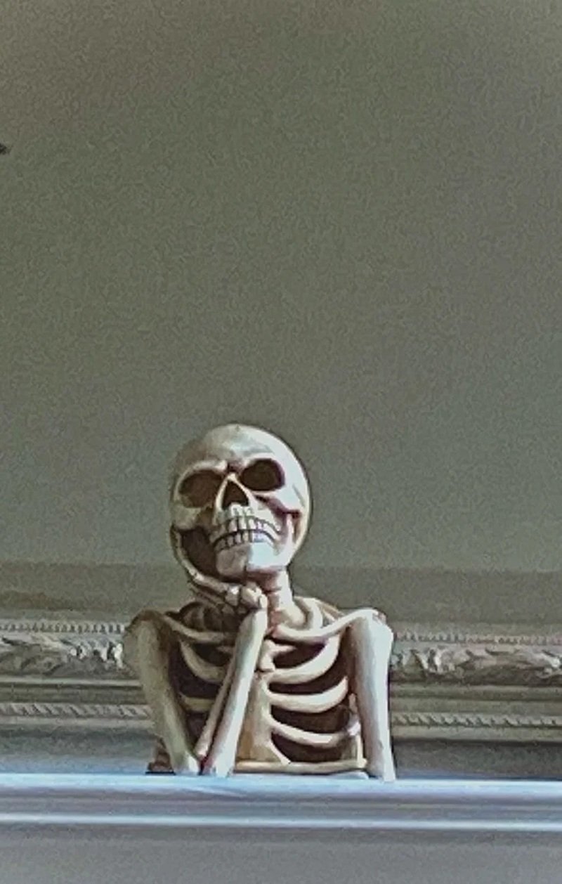 skeleton meme với tạo hình xương cực hài