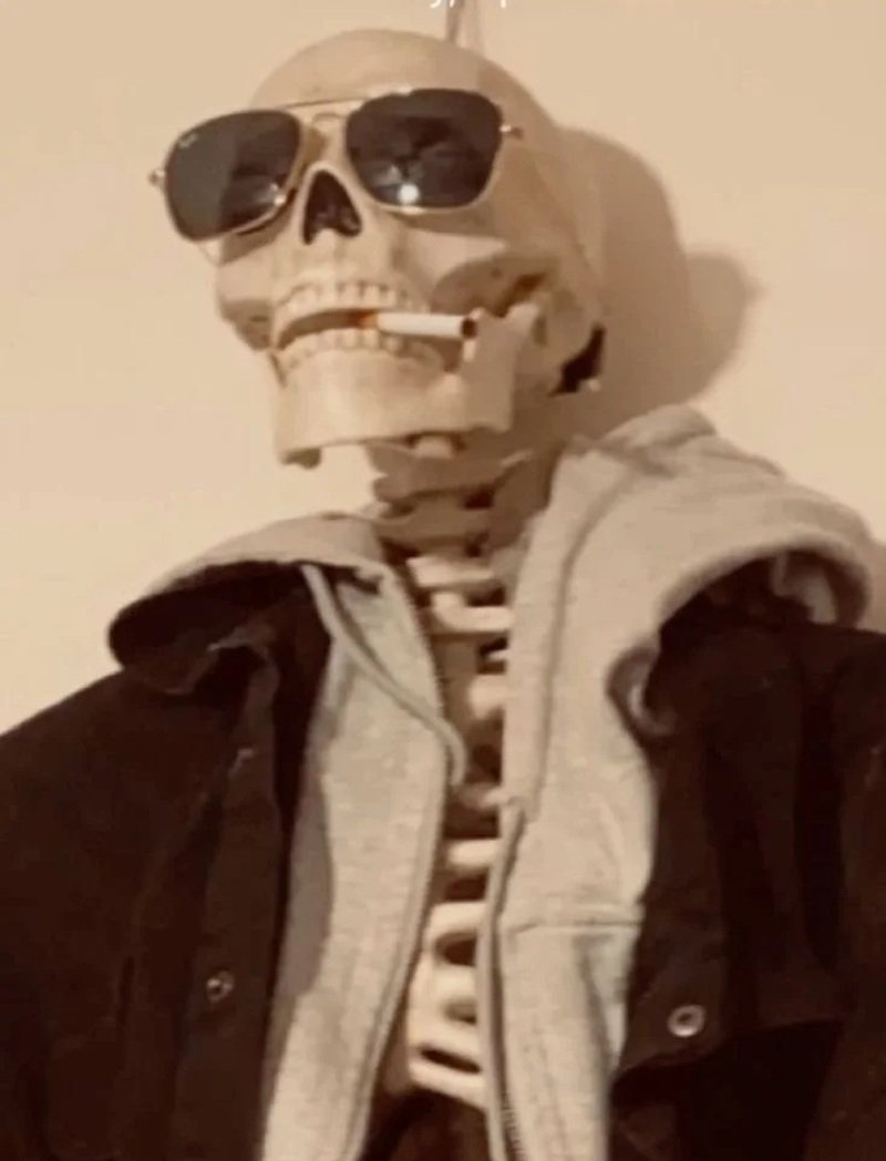 skeleton meme độc đáo khiến ai cũng bật cười