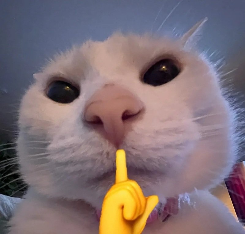 Suỵt meme mang lại cảm giác giải trí mỗi ngày