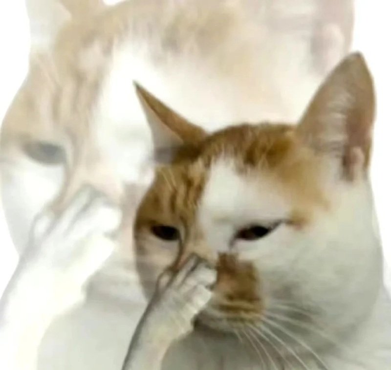 Hình meme chê hài hước với biểu cảm khó đỡ