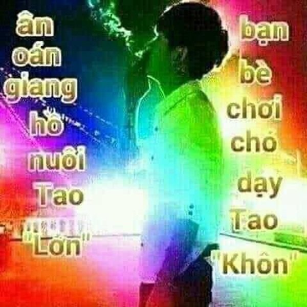 Hình meme chửi hài hước với biểu cảm cực gắt