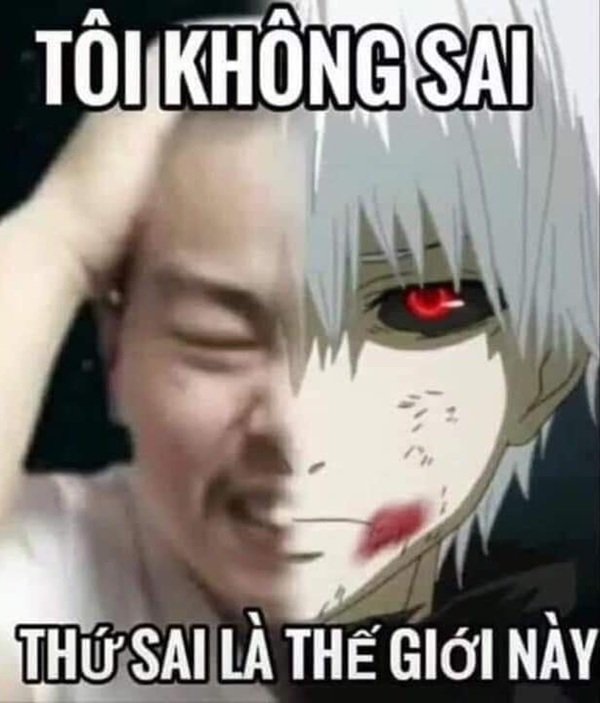 Bộ sưu tập meme chửi hài hước và độc đáo