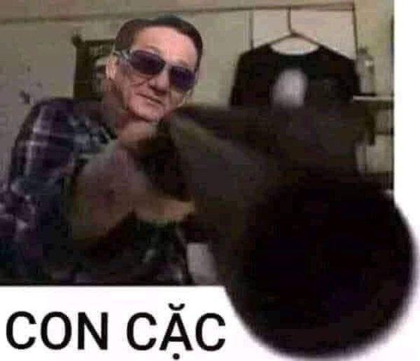 Ảnh meme hài chửi bá đạo cho dân mạng