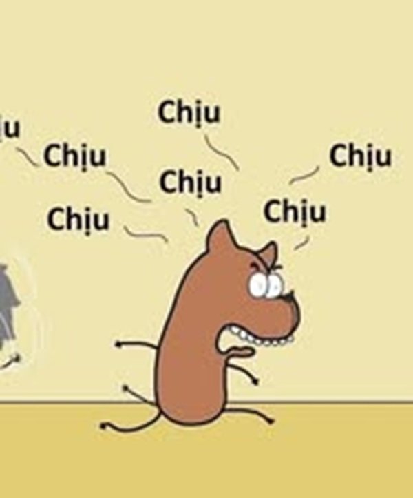 Meme cà khịa gắt nhưng vẫn gây cười