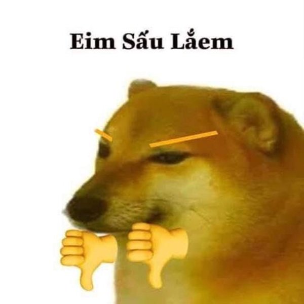 Hình ảnh meme hài hước cực kỳ lầy lội