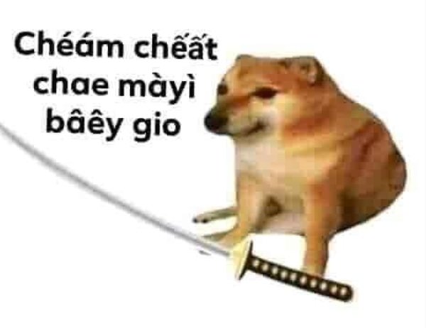 Biểu cảm khó đỡ trong loạt meme chửi cực hài