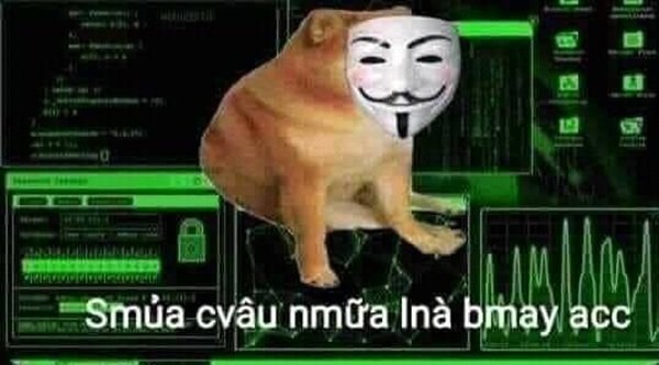 Meme chửi với nét mặt khó chịu cực kỳ chân thật