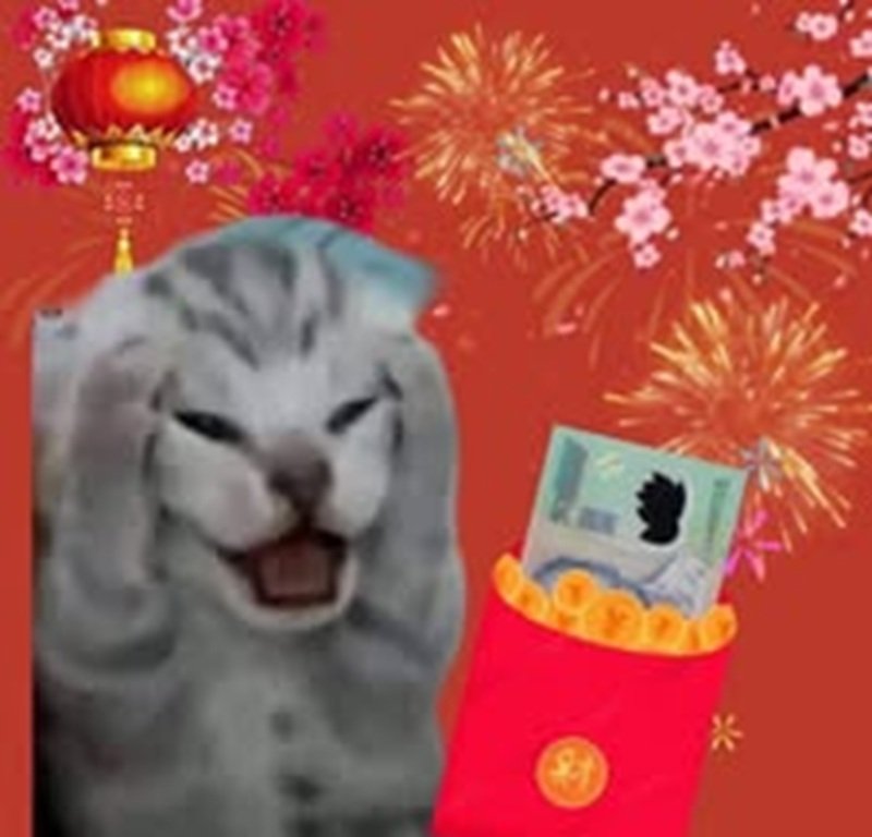Khoảnh khắc meme mèo ôm đầu cực kỳ đáng yêu và buồn cười