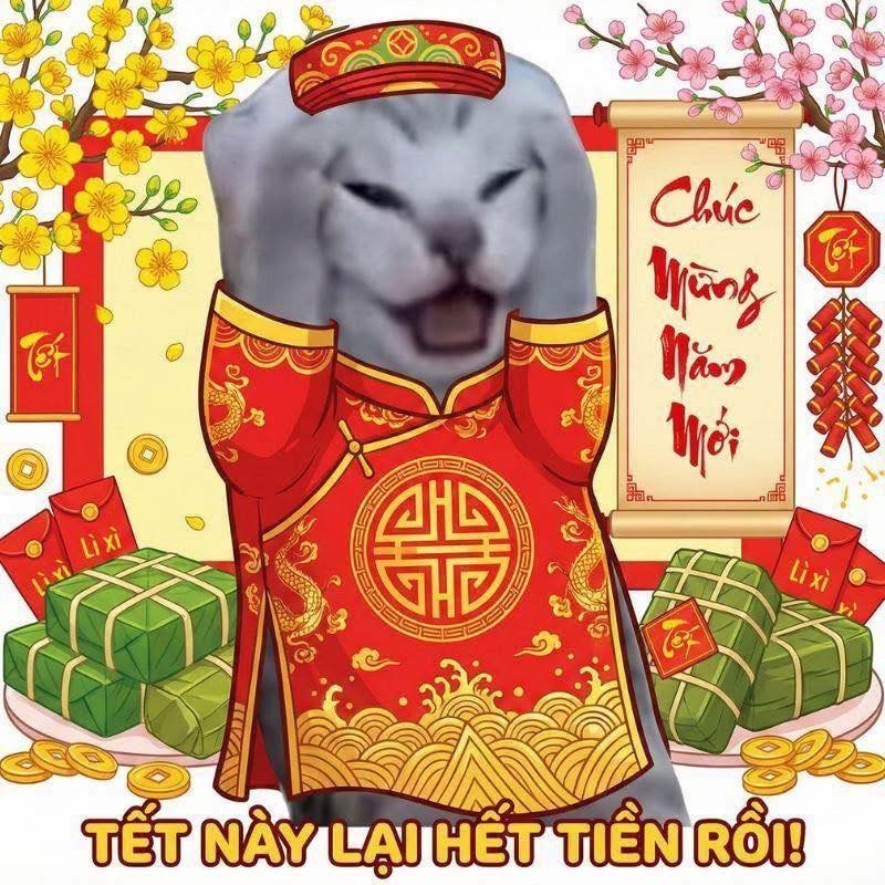 Ảnh meme mèo ôm đầu thể hiện cảm giác bất lực